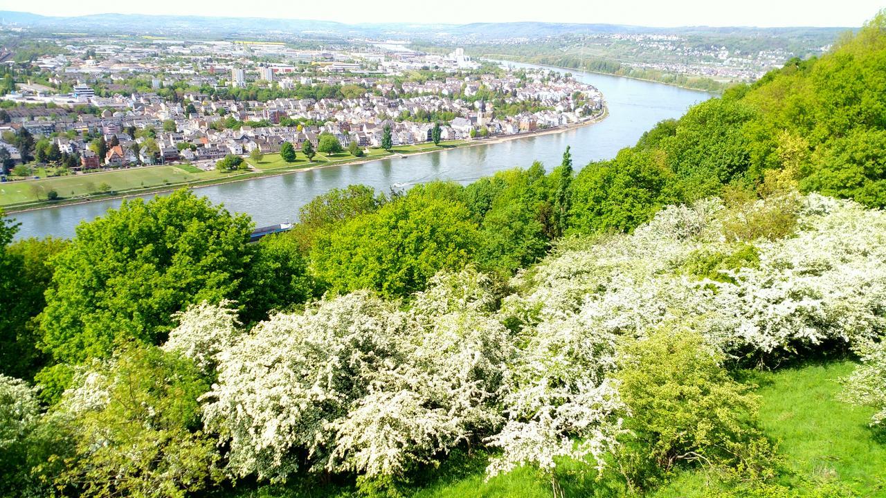 Hotel Ohm Patt Boppard Exteriér fotografie