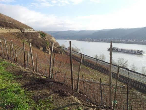 Hotel Ohm Patt Boppard Exteriér fotografie